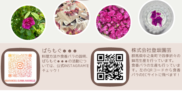 バラの苗/千年のバラ　メイクイ：豊華（ほうか）6号ポット・鉢カバー付き 送料無料｜engei｜06