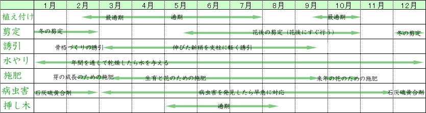 栽培ガイドと商品解説 クレマチスの栽培方法 Guide 511 園芸ネット 予約専用サイト 通販 Yahoo ショッピング