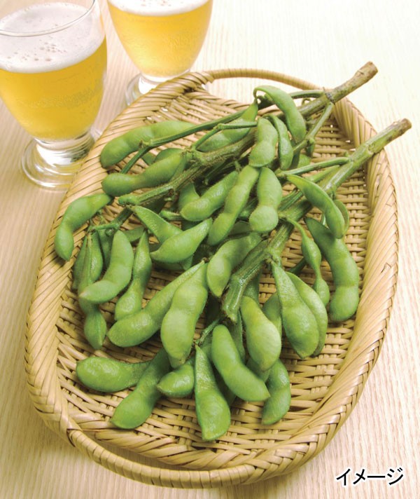 野菜の苗 26年5月中下旬予約 枝豆 香り茶豆...の詳細画像3
