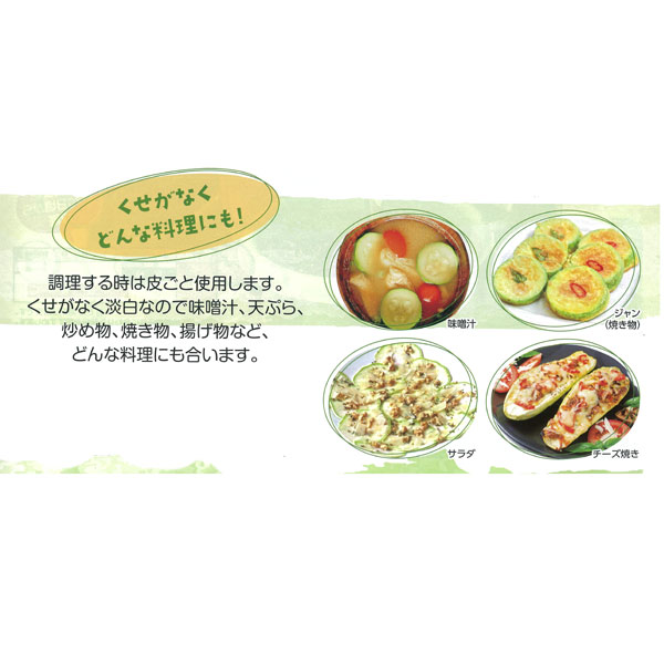 野菜の苗 26年4月下旬予約 ズッキーニ つる...の詳細画像5