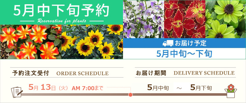 楽天市場】【マラソン限定P5倍！！】 自由に曲がるカーテン