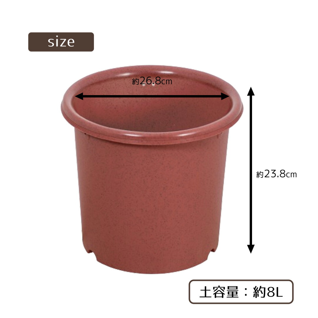 サイズ