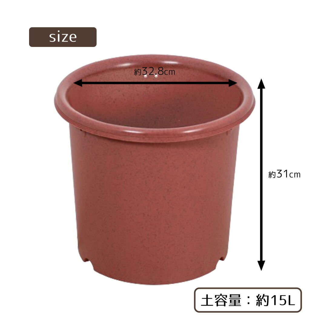 サイズ