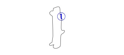 The