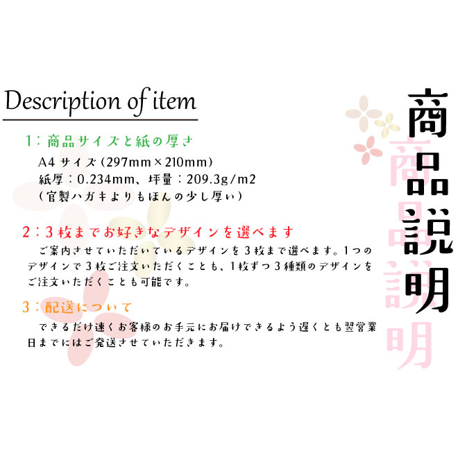 命名書 用紙のみ 選べる3枚セット 代筆なし 命名紙 ひな祭り こどもの