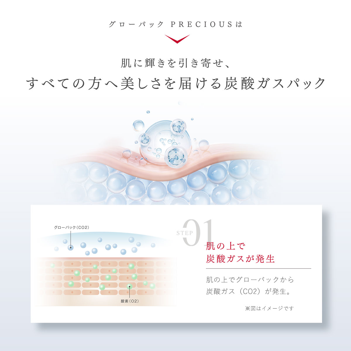 エニシー グローパック プレシャス 公式店 PRECIOUS 炭酸ガスパック