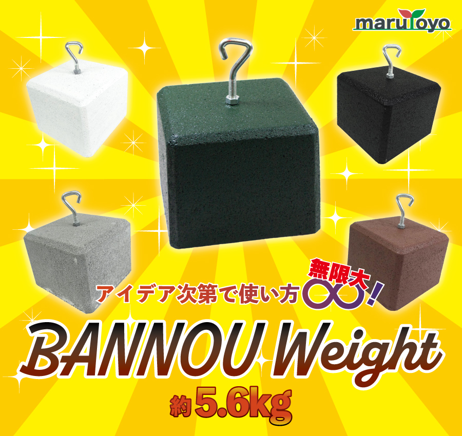万能ウェイト ホワイト 約5.6kg 4個セット : 園joy marutoyo