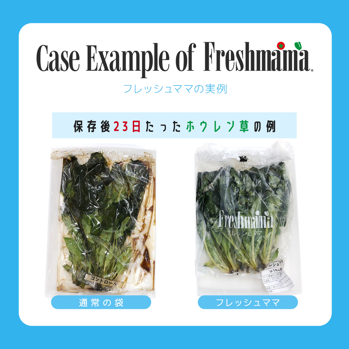 鮮度保持袋 フレッシュママ Freshmama