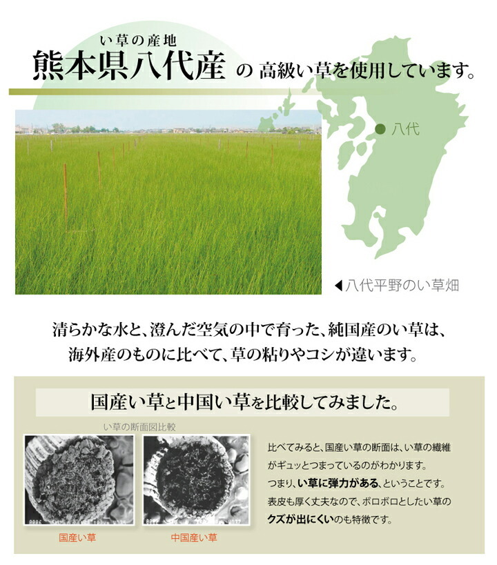 純国産 い草 上敷き カーペット 麻綿織 『清正』 江戸間6畳（約261