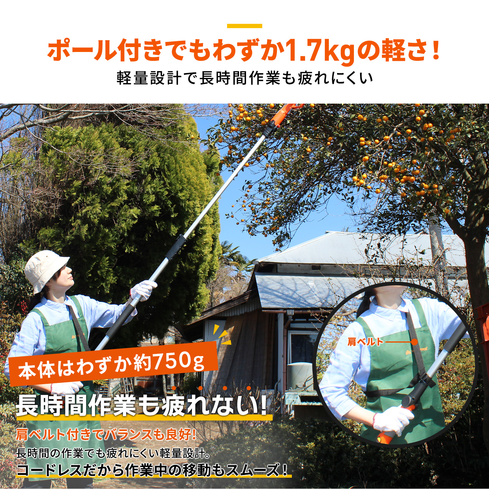 YARDFORCE 12Vコードレス高枝電動ハサミ