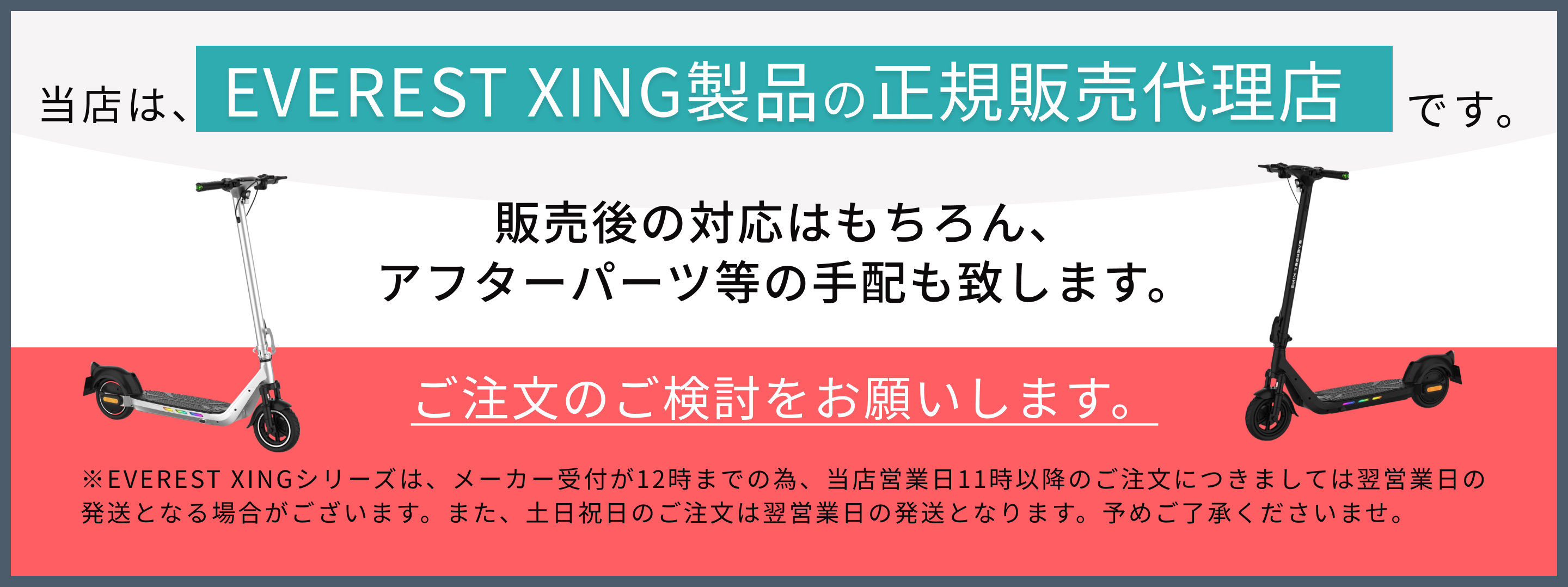 EVEREST XING EVEREST XING EX15 専用サドル・リアカゴセット