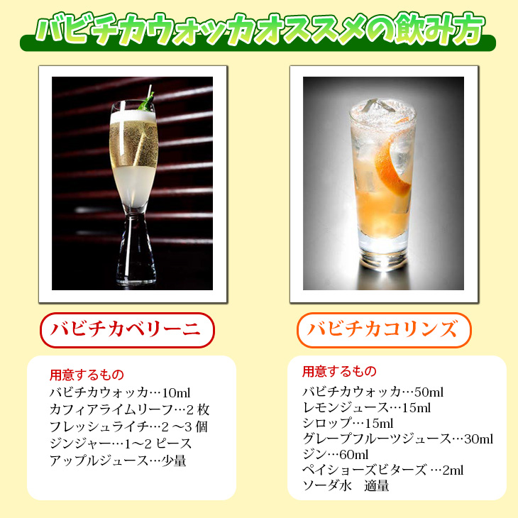 Babicka バビチカ 750ml ウォッカ 43度 正規品 箱なし 送料無料 宅飲み