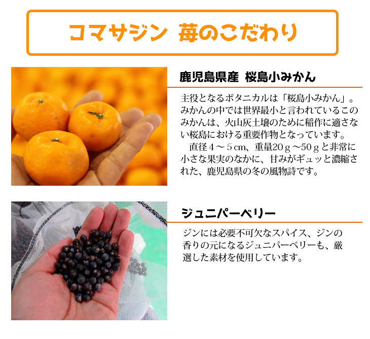 コマサジン 桜島 小みかん