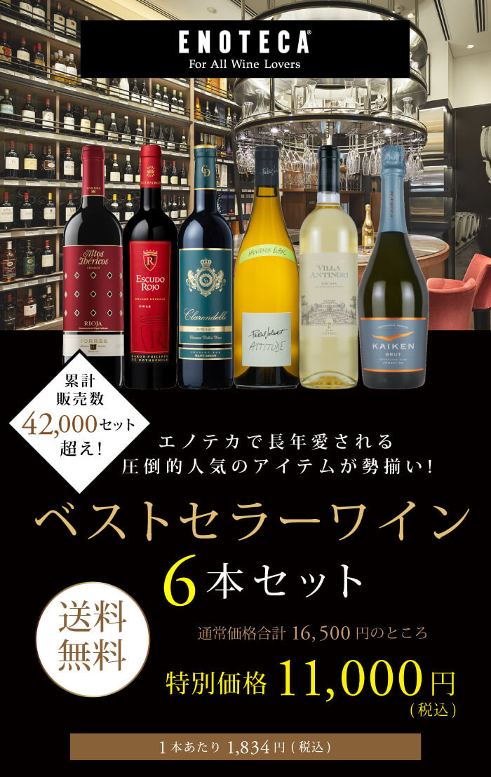 1本あたり2750円 6月のスペシャルワインセット赤6本 送料無料 【在庫一掃】 送料無料