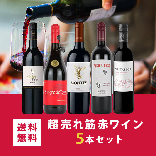 ワイン ワインセット エノテカ 超売れ筋赤ワイン5本セット RC5-1 [750ml x 5] 送料無料 (890510RC17C4）｜enoteca-online｜02