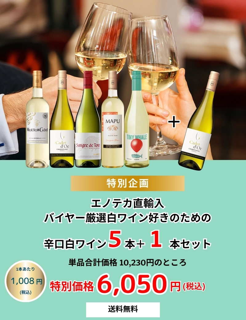 ワイン ワインセット バイヤー厳選白ワイン好きのための辛口白ワイン5