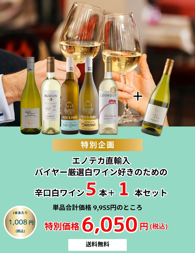 白ワイン5本セット ワイン ワインセット バイヤー厳選白ワイン好きのための辛口白