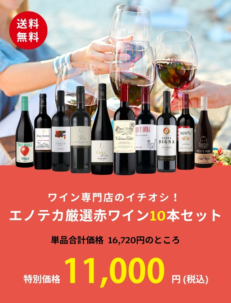 ワイン ワインセット エノテカ ワイン専門店のイチオシ！エノテカ厳選