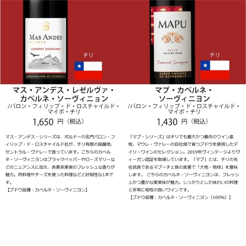 ワイン ワインセット エノテカ ワイン専門店のイチオシ！エノテカ厳選