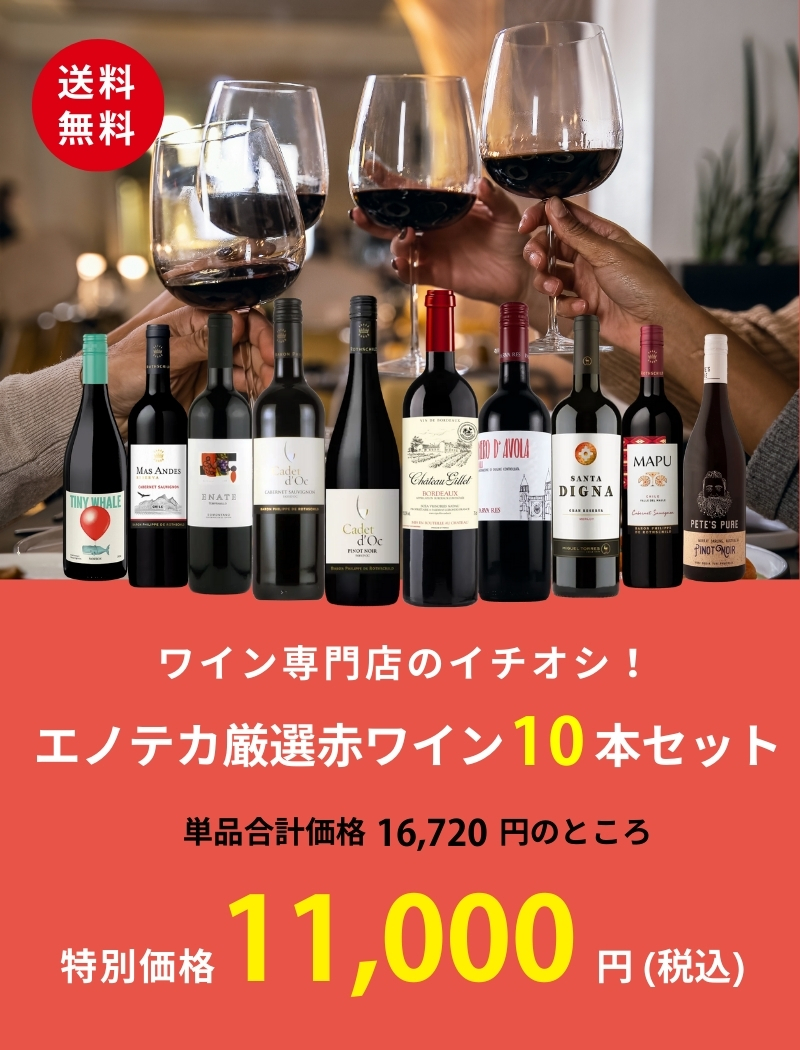 ワイン ワインセット エノテカ ワイン専門店のイチオシ！エノテカ厳選
