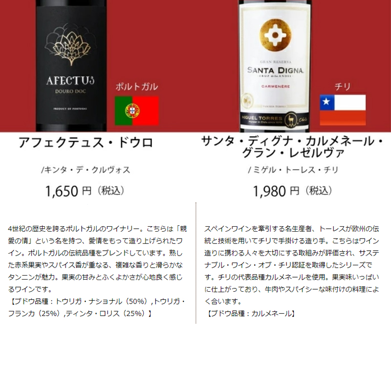 ワイン ワインセット エノテカ ワイン専門店のイチオシ