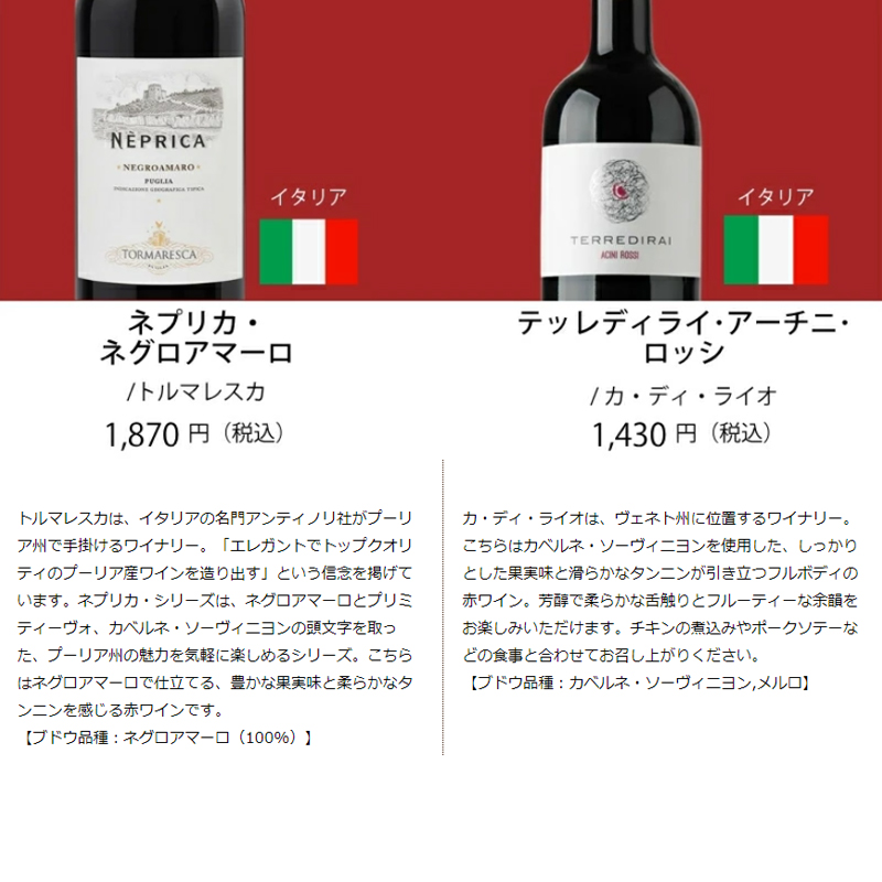 ワイン　10本セット　⑨ ワイン ワインセット エノテカ ワイン専門店のイチオシ