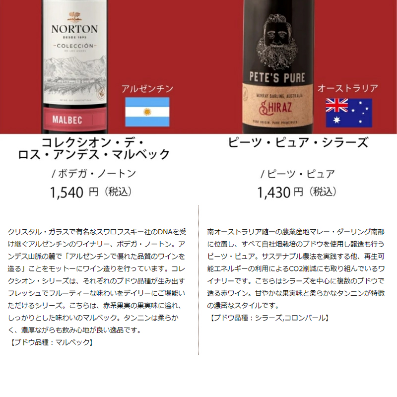 ワイン ワインセット エノテカ ワイン専門店のイチオシ