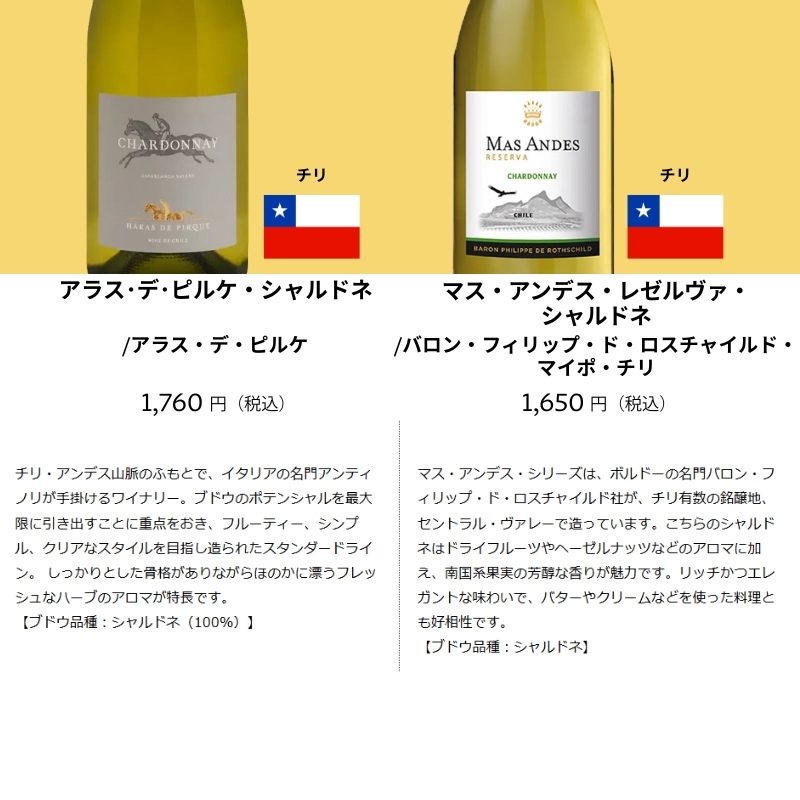 ワイン ワインセット ワイン専門店のイチオシ！エノテカ厳選白ワイン10