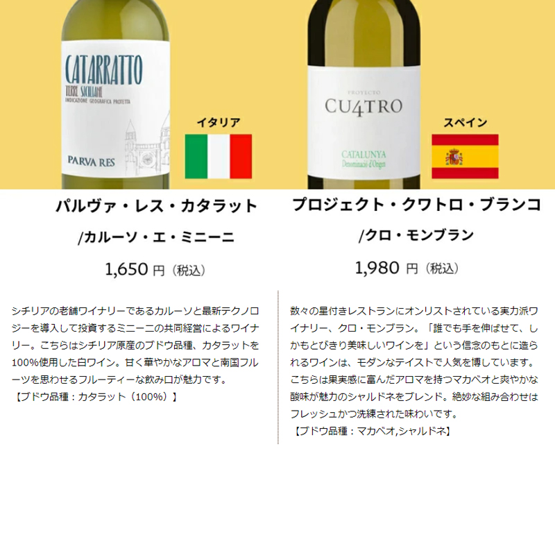 ワイン ワインセット ワイン専門店のイチオシ！エノテカ厳選白