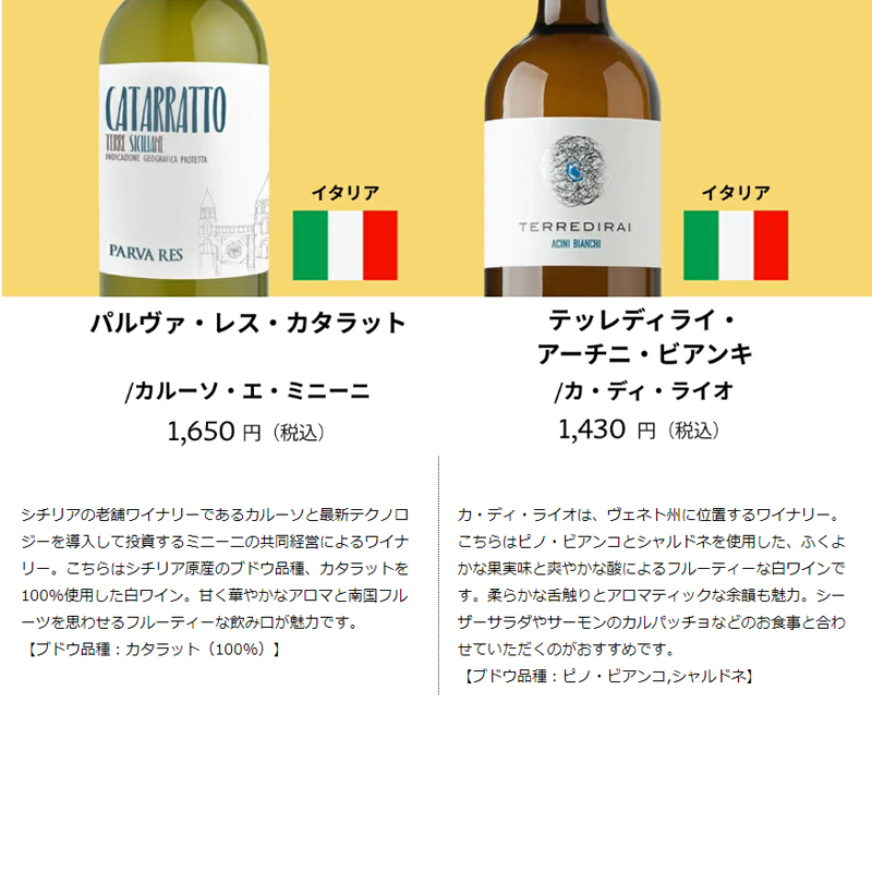 ワイン ワインセット ワイン専門店のイチオシ！エノテカ厳選白