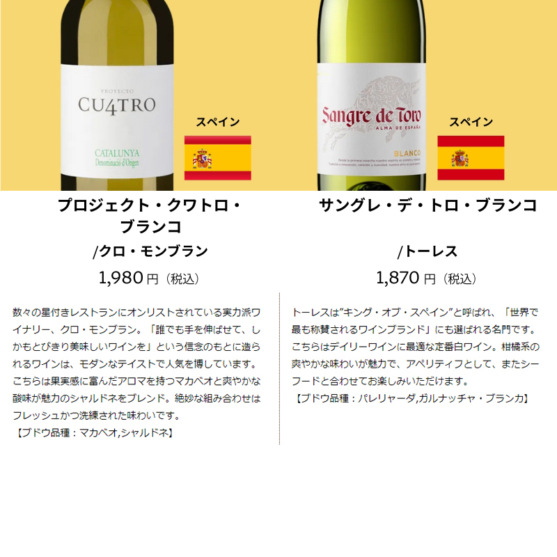 ワイン ワインセット ワイン専門店のイチオシ！エノテカ厳選白