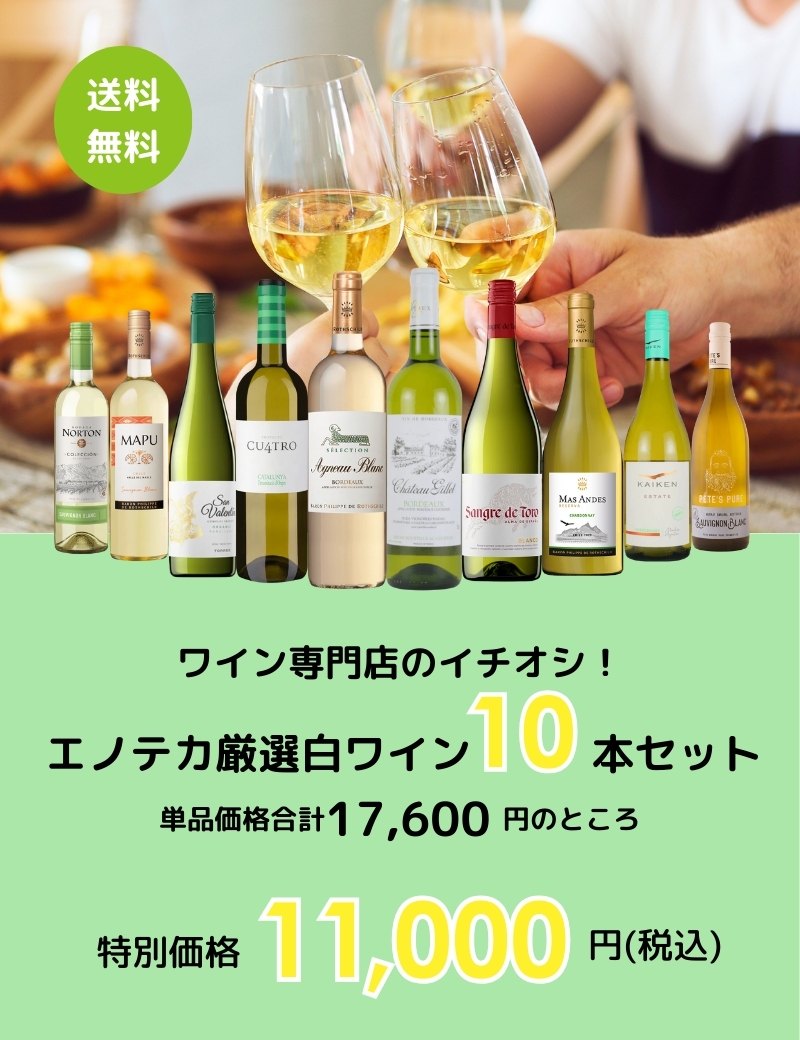 ワイン ワインセット ワイン専門店のイチオシ!エノテカ厳選白 ワイン ワインセット ワイン専門店のイチオシ!エノテカ厳選白