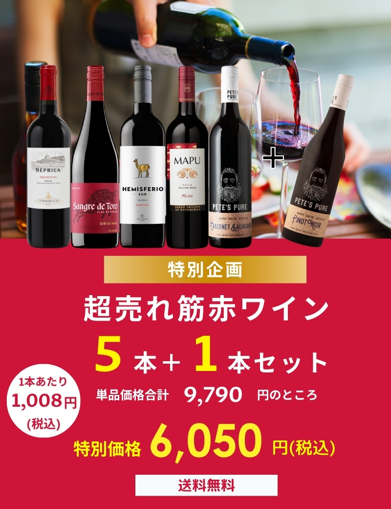 1セット限定！かなりお得！エノテカ赤ワイン6本セット　送料込み ワイン ワインセット エノテカ 超売れ筋赤ワイン5本+1本セット
