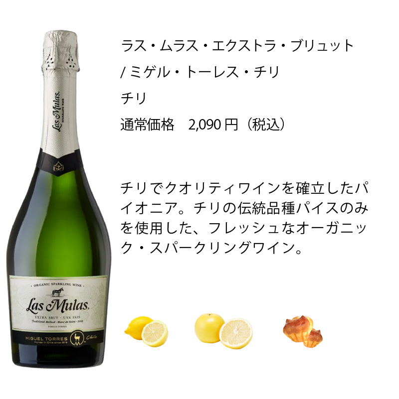 ワイン ワインセット エノテカ ソムリエ厳選 辛口スパークリング5本