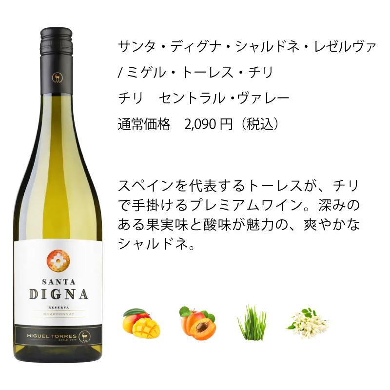 ワイン ワインセット エノテカ 辛口白ワイン6本セット WG2-1 [750ml x