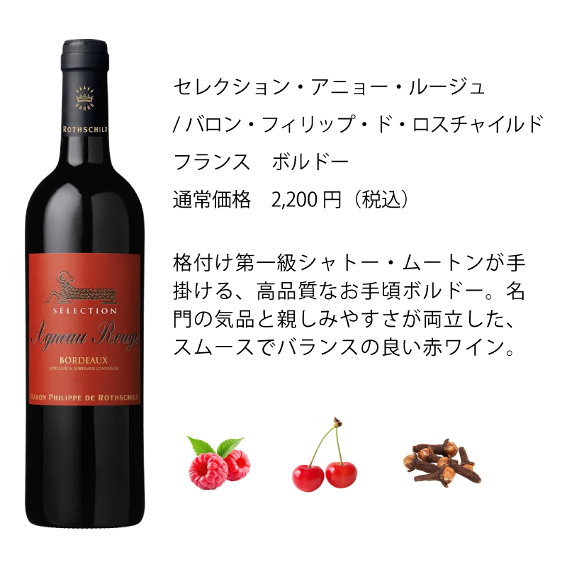 ワインセット エノテカ 厳選赤ワイン10本セット PA1-1 [750ml x 10