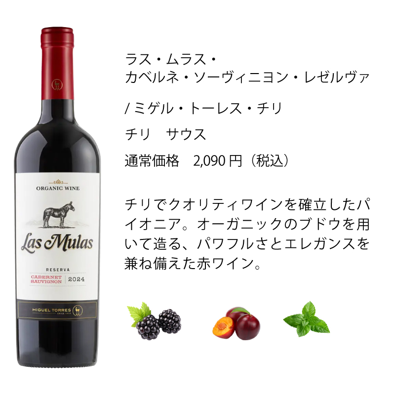ワインセット エノテカ 厳選赤ワイン10本セット PA1-1 [750ml x 10