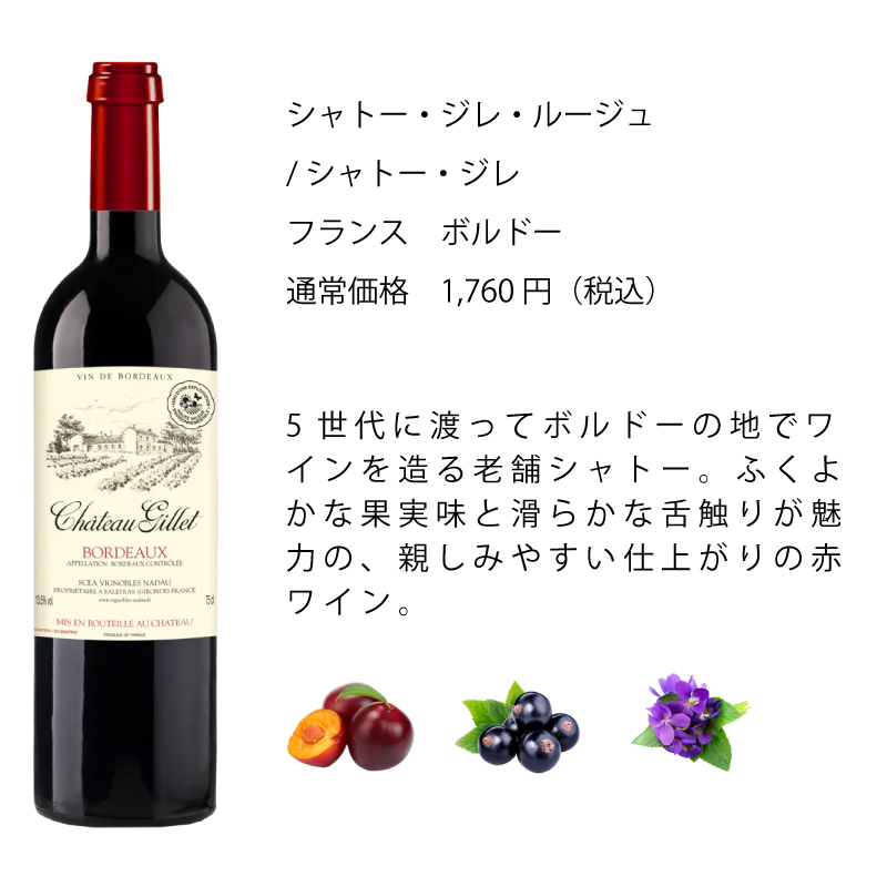 ワインセット エノテカ 厳選赤ワイン10本セット PA1-1 [750ml x 10