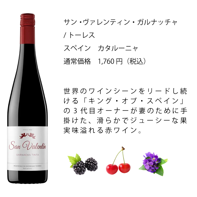 ワインセット エノテカ 厳選赤ワイン10本セット PA1-1 [750ml x 10