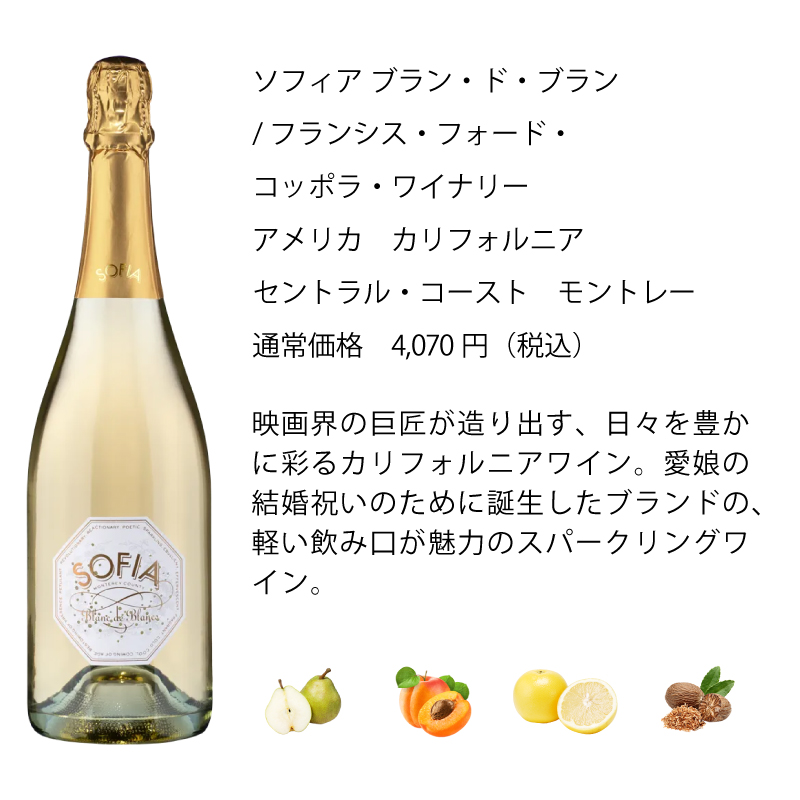 ワインセット エノテカ 赤ワイン 白ワイン スパークリングワイン 6本