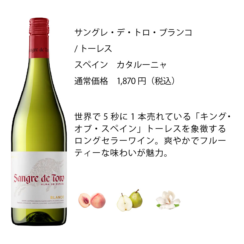 ENOTECA ワイン　2本セット ワインセット エノテカ 厳選赤ワイン10本セット PA4-1 [750ml x 10