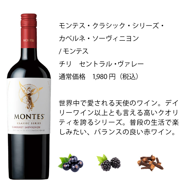 ワインセット エノテカ 厳選赤ワイン10本セット PA10-1 [750ml x 10
