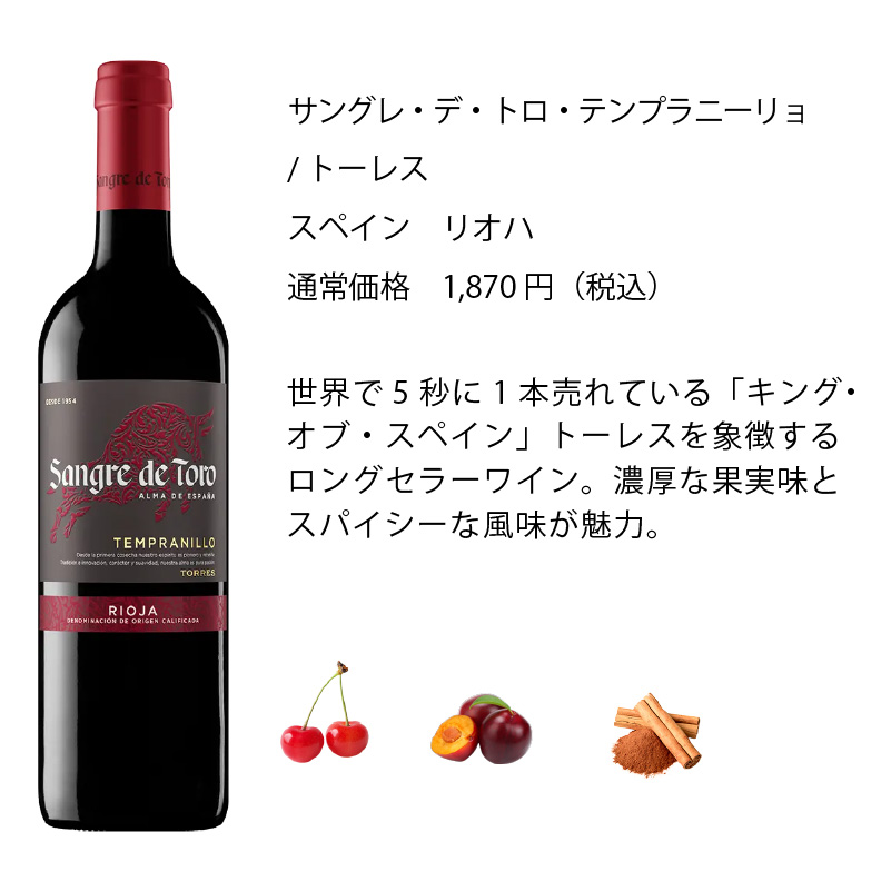 ワインセット エノテカ 厳選赤ワイン10本セット PA10-1 [750ml x 10