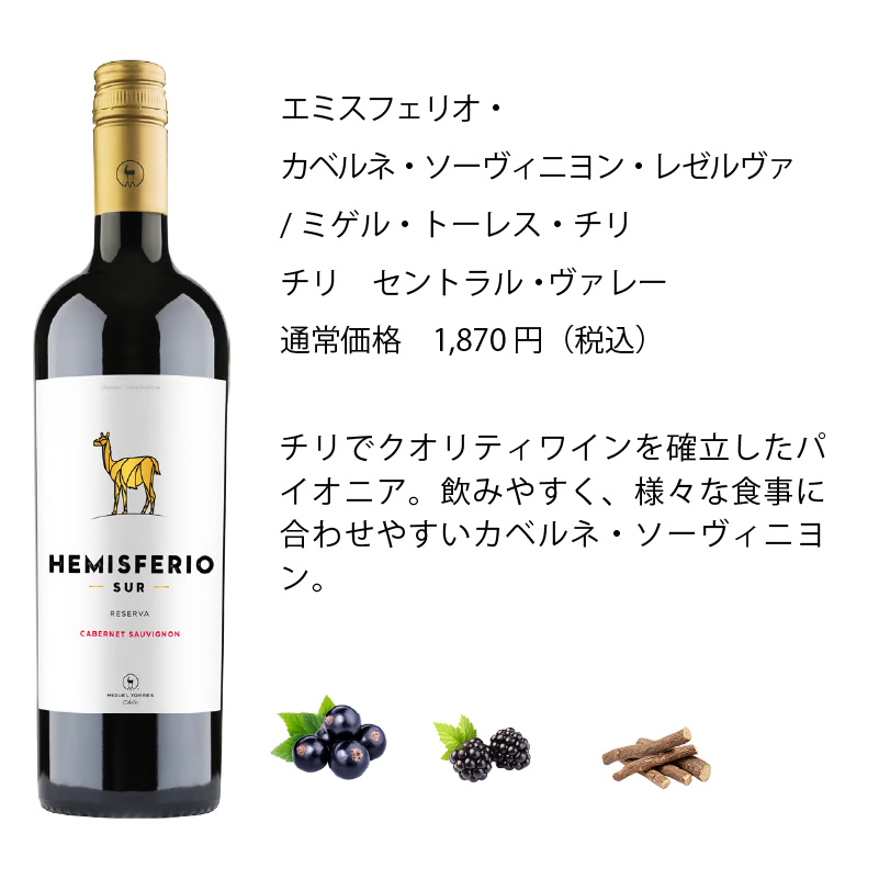 ワインセット エノテカ 厳選赤ワイン10本セット PA10-1 [750ml x 10
