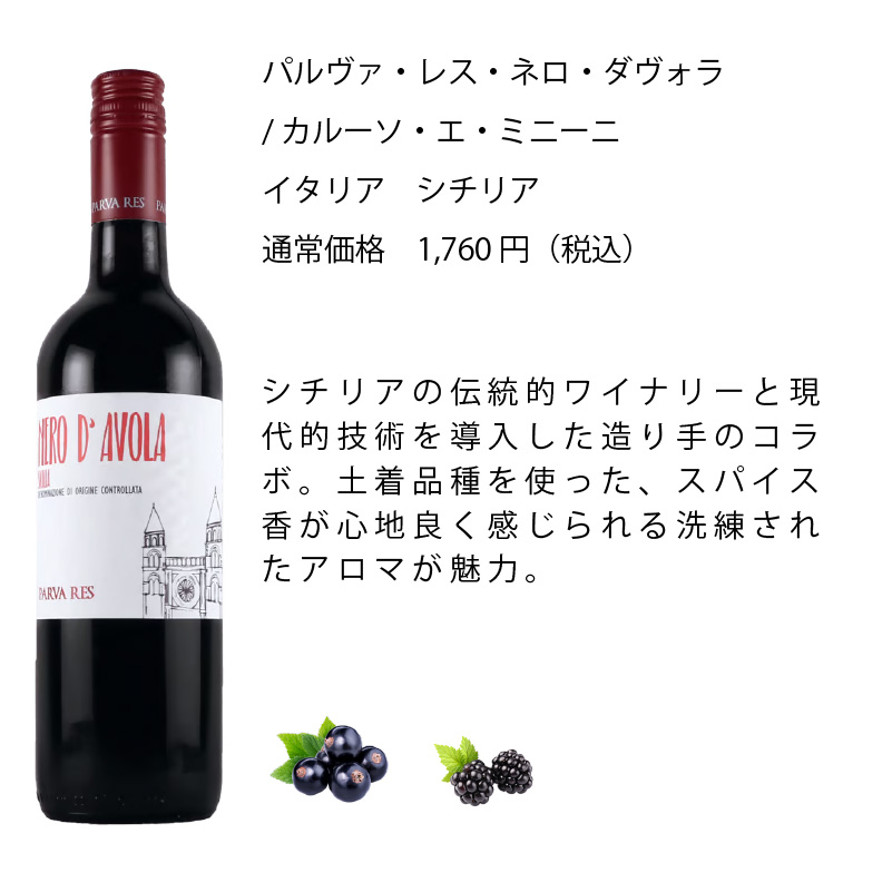 ワインセット エノテカ 厳選赤ワイン10本セット PA10-1 [750ml x 10