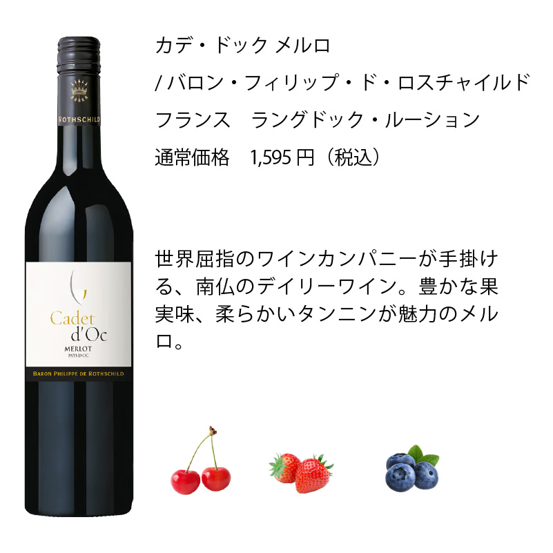 ワインセット エノテカ 厳選赤ワイン10本セット PA10-1 [750ml x 10