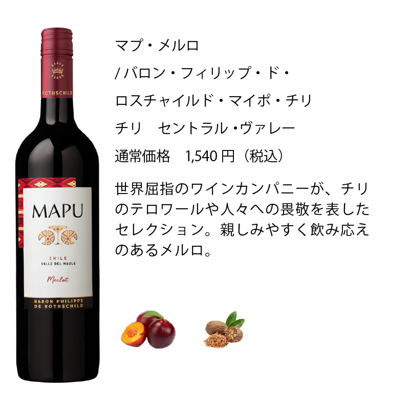 ワインセット エノテカ 厳選赤ワイン10本セット PA10-1 [750ml x 10