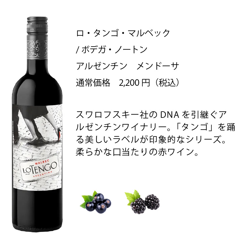 ワインセット エノテカ 厳選赤ワイン10本セット PA4-1 [750ml x 10