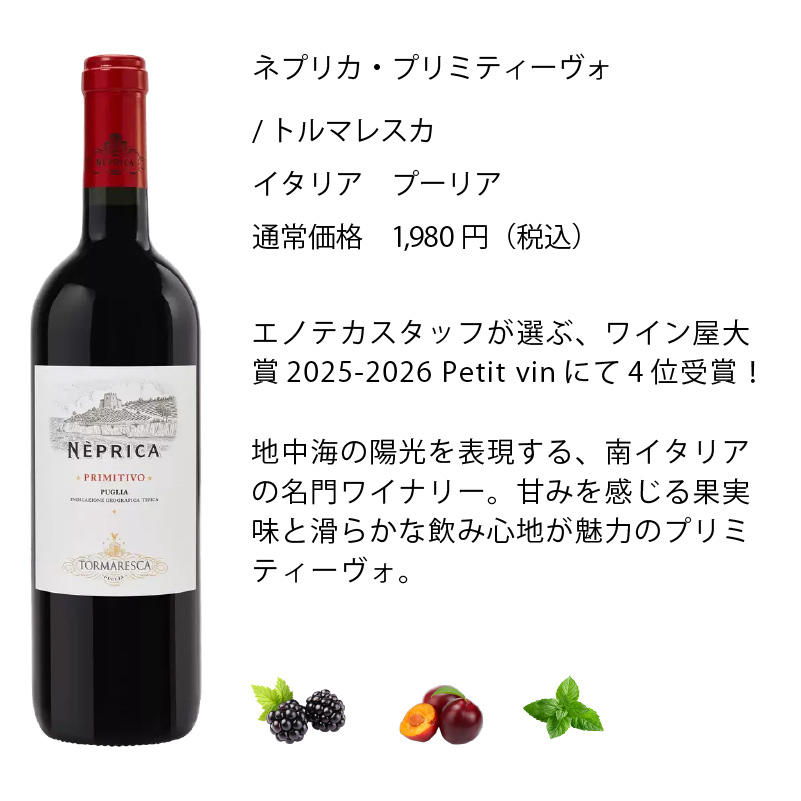 日本ワイン10本セット ワインセット エノテカ 厳選赤ワイン10本セット PA4-1 [750ml x 10