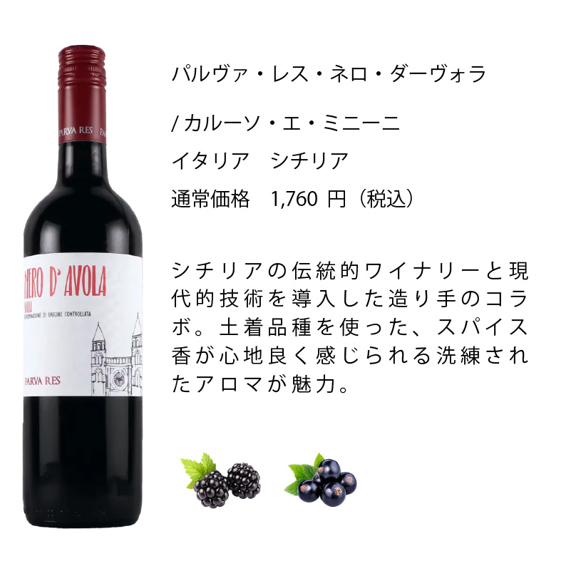 ワインセット エノテカ 厳選赤ワイン10本セット PA4-1 [750ml x 10